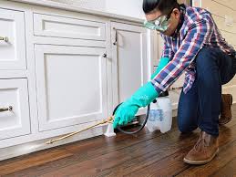 Best Pest Exclusion Services  in Monmouth Beach, NJ