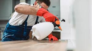 Best Commercial Pest Control  in Monmouth Beach, NJ